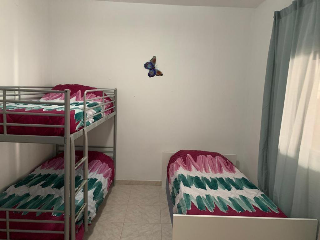 TRES habitaciones privadas 4huéspedes 4huéspedes 2huéspedes piso a compartir La Laguna  Extérieur photo